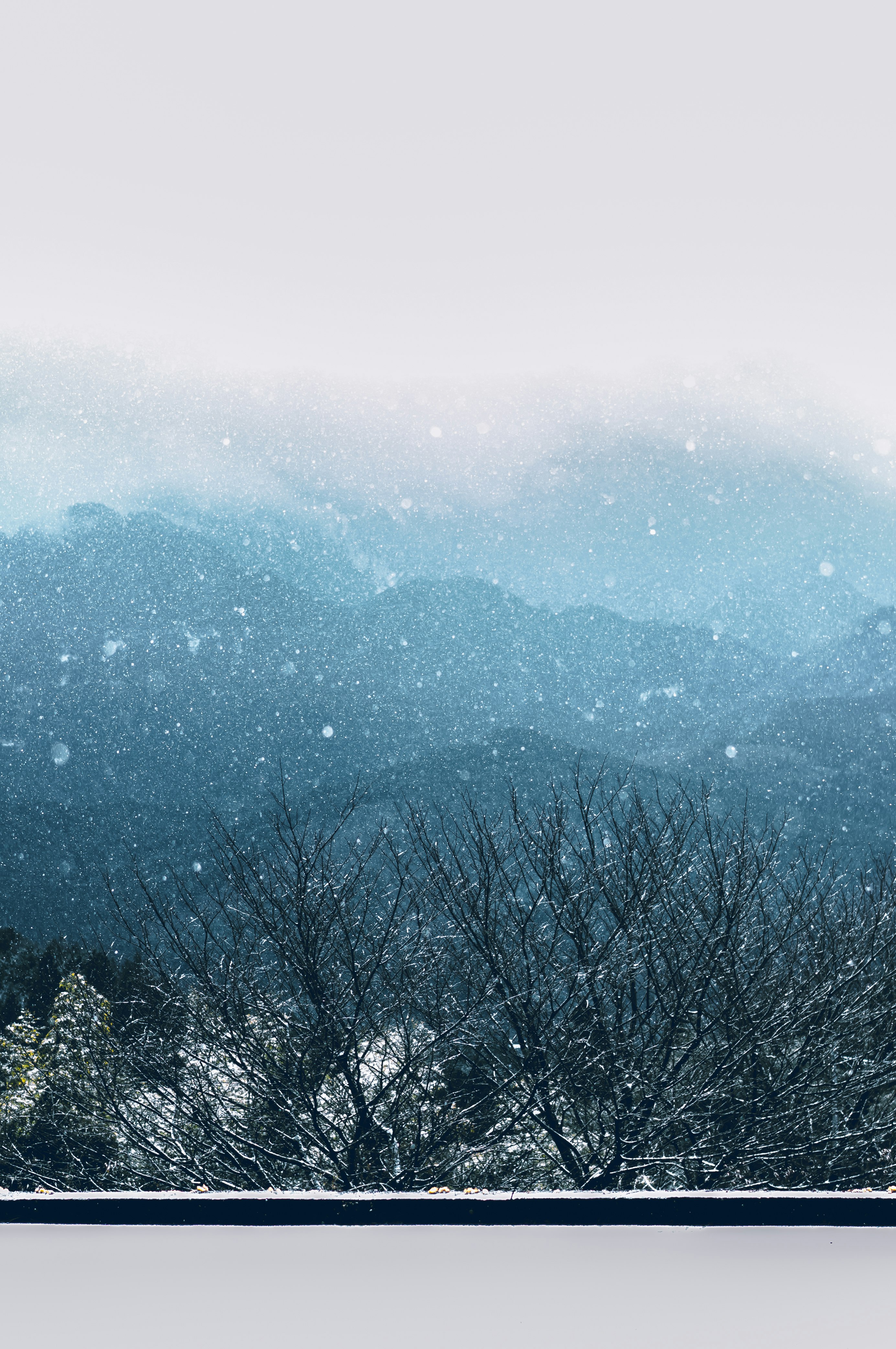 green trees on mountain during daytime